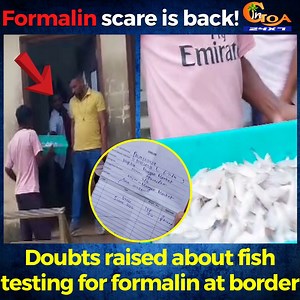 Formalin scare is back! Doubts raised about fish testing for formalin at border #Goa #GoaNews #formalin #scare #back #doubts #FDA #checking | In Goa 24x7