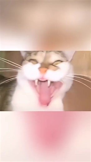 Referencias a Terminator en películas caricaturas y series #REFERENCIAS #terminator #peliculas #caricaturas #series | De todo un poco