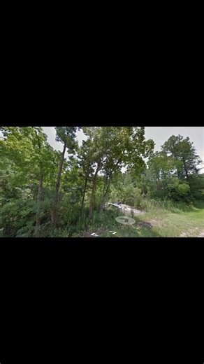 This weeks owner financing land sale deal! - thelandservice.net