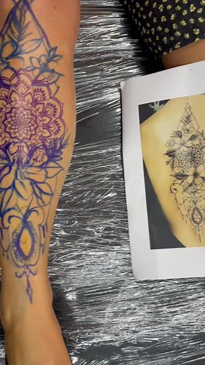 Abbieroseriley on TikTok