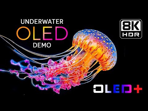 BEST OF OLED – Hidden Marine Rarities in 8K HDR | Dolby Vision™
