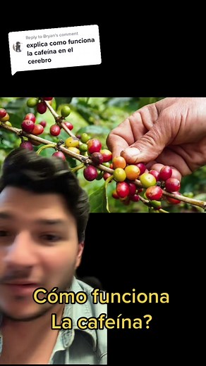 Understanding the Science Behind Caffeine: How It Works and Its Effects