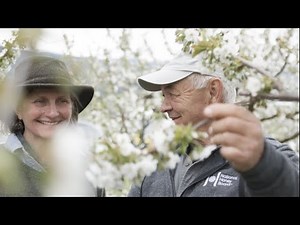 Celebrating Beekeeping: The Importance of Pollination