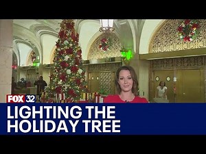 Lighting the 2024 Cook County Holiday Tree