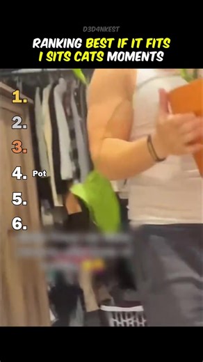 Ranking Best If It Fits I Sits Cats Moments #catlovers#cattok #tiktokmemes #foryouu #ranking #funnytiktok #laugh | Dedenkest memes