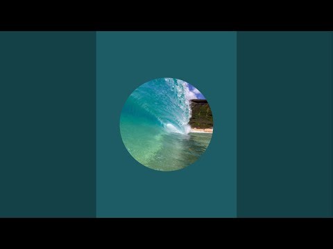 LIVE Waimea Bay Shorebreak