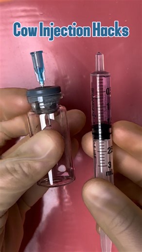 Vetventures on Instagram: "Cow Injection Hacks  Use code Vetventures for 10% off @thesuturebuddy injection kits! #doctorsofinstagram #veterinariansofinstagram #surgeonsofinstagram #surgery #medicine #nursesofinstagram #vetsofinstsgram #hacks #medicalinstagram #vet #injection #technique #funfacts #goodtoknow #vethacks #medhacks"