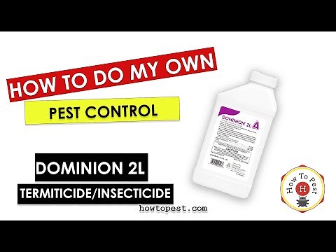 DIY Pest Control with Dominion 2L – Control Solutions Termiticide & Insecticide Tutorial