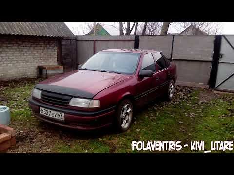 Polaventris - kivi_utare [+Download]