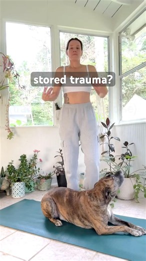 Trauma Stuck in Your Body? Move It Out