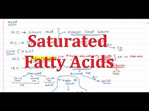 6. Fatty Acids: Saturates FA