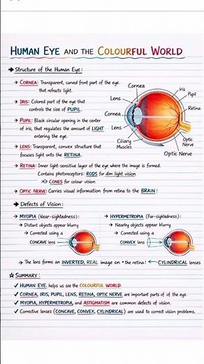 Human Eye & Colourful World 🌈👀 | CBSE Class 10 Quick Revision