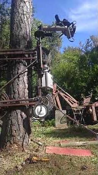 Tree climb/ cutting robot