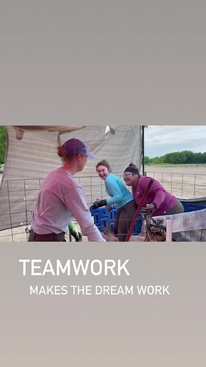 When you trim over 100 pigs 🐖 you should celebrate right?! | My Pig Filled Life