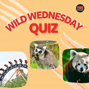 6 comments | IT IS ABOUT TO GET WILD!! Join our online quiz using the link here: https://6dvgobbt2uw.typeform.com/to/furoAREj and take part in our Wild Wednesday Quiz! Test your knowledge and show us what you know...... make sure to share your score in the comments below!! Go Go Go ⭐️⭐️⭐️⭐️ | Flamingo Land Resort | Facebook