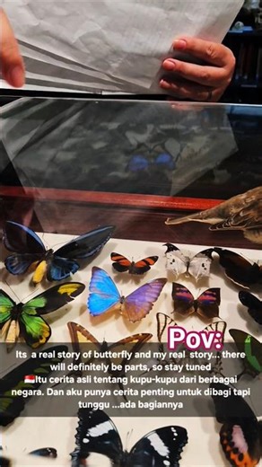 A True Story #butterfly #foryou