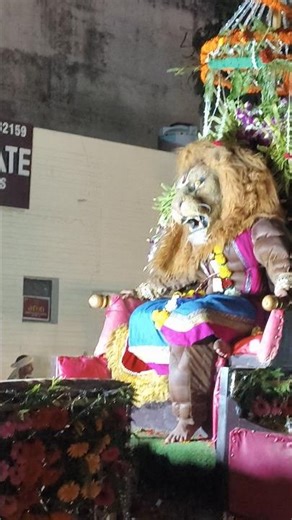 इंशान बना सेर बेटा कुरशी पर #lion ki जाके