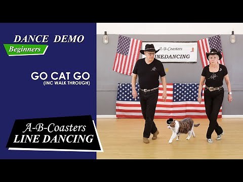 GO CAT GO - Line Dance Demo & Walk Through