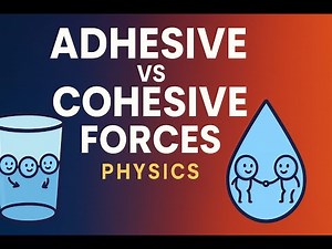 Complete detail about cohesive and adhesive force