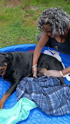 Miracle’s First Puppy 🐶💜 | Proud Dog Mom Moment