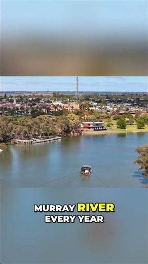 Australia's Lost Sea: Uncovering Ancient Ocean Secrets #murrayriver #australia #geology #ozgeology