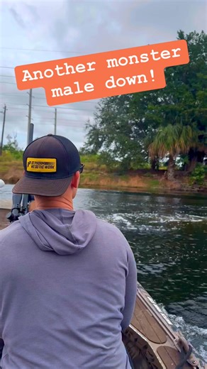 2.8M views · 14K reactions | The most fun you can have while hunting,...