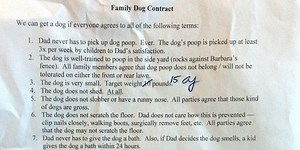 Entertaining and Party Ideas and Tips