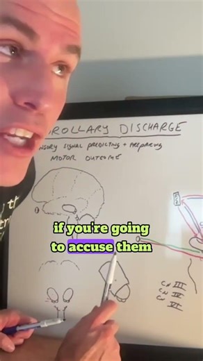 Corollary Discharge: understanding autistic children's eye contact. Eye Gaze is easy to understand