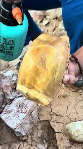 “You’ve Never Seen a Crystal Like This Before 😱 Gold-Toned Geode Reveal!”