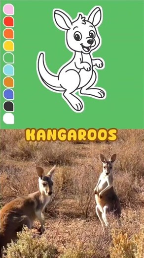 How to Draw a Kangaroo and Friends 🦘 | Easy Drawing for Kids