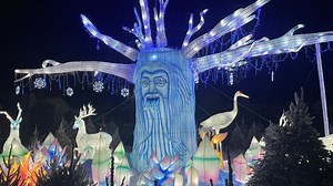 West Midlands Safari Park Lantern Festival 2022