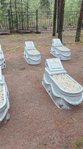 Defenders of the Hanko Peninsula 🇫🇮 #citywalk #history #travel