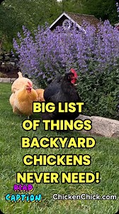 5.3K views · 957 reactions | Real talk. Stop wasting money & time on...