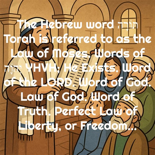 16 reactions | What were the Scriptures at the time of every 1st Century New Testament letter? | Ancient Hebrew Word Pictures | Facebook