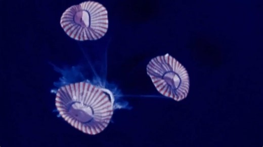 Apollo 13 - The true survival story NASA rarely explains