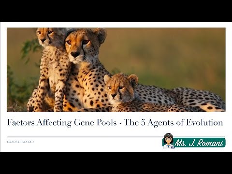 Lesson Video - Factors Affecting Gene Pools: The Five Agents of Evolution