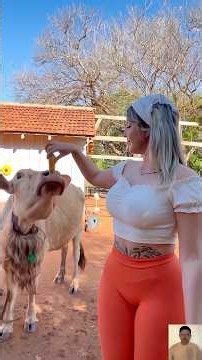 10 Heartwarming Animal Rescues That Restore Faith in Humanity ❤️ Part 1