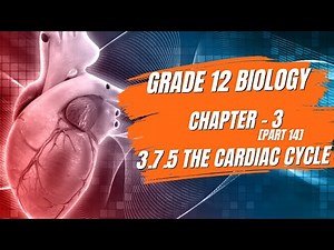 Grade 12 Biology: Chapter 3 - part 14