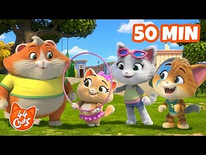 44 Chats : apprenons à nous faire de nouveaux amis avec les Mystichats ! 🥳 Épisodes complets