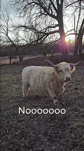 Rooted Ruminations Ep 5: Trust Issues