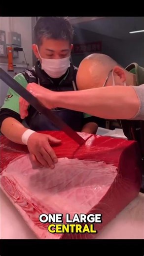 Why Tuna is So Hard To Cut.🐟🔪 #fishing #tuna #afects
