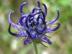 Opis Stanowiska Menedżera Banku | Opisy stanowisk pracy - 2025