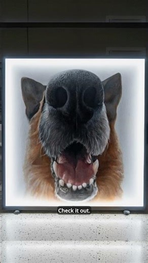 6-Foot LED Dog Portraits | Custom on Custom Framing