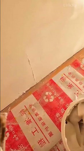 applying plaster filler compound to smooth out a damaged wall surface for a home renovation project