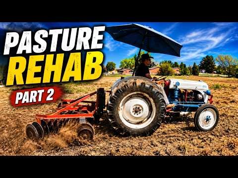 Pasture Rehab Part 2: Breaking Up the Ground After Spraying