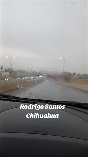 Chihuahua Chihuahua #chihuahua