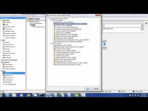 30. Informatica MDM 10 - Batch Groups