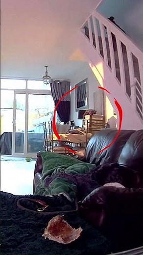 Hilarious VR Golf Fail 😂