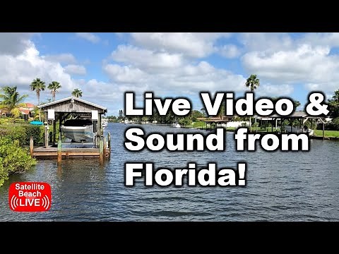 🔴 LIVE Florida Cams | Satellite Beach Grand Canal #satellitebeach #livestream #florida