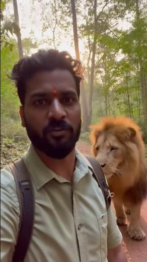 **Python** & Lion Stand Guard | Aghori Sadhu Heals a Bear While Anaconda | Real Jungle Miracle #ai